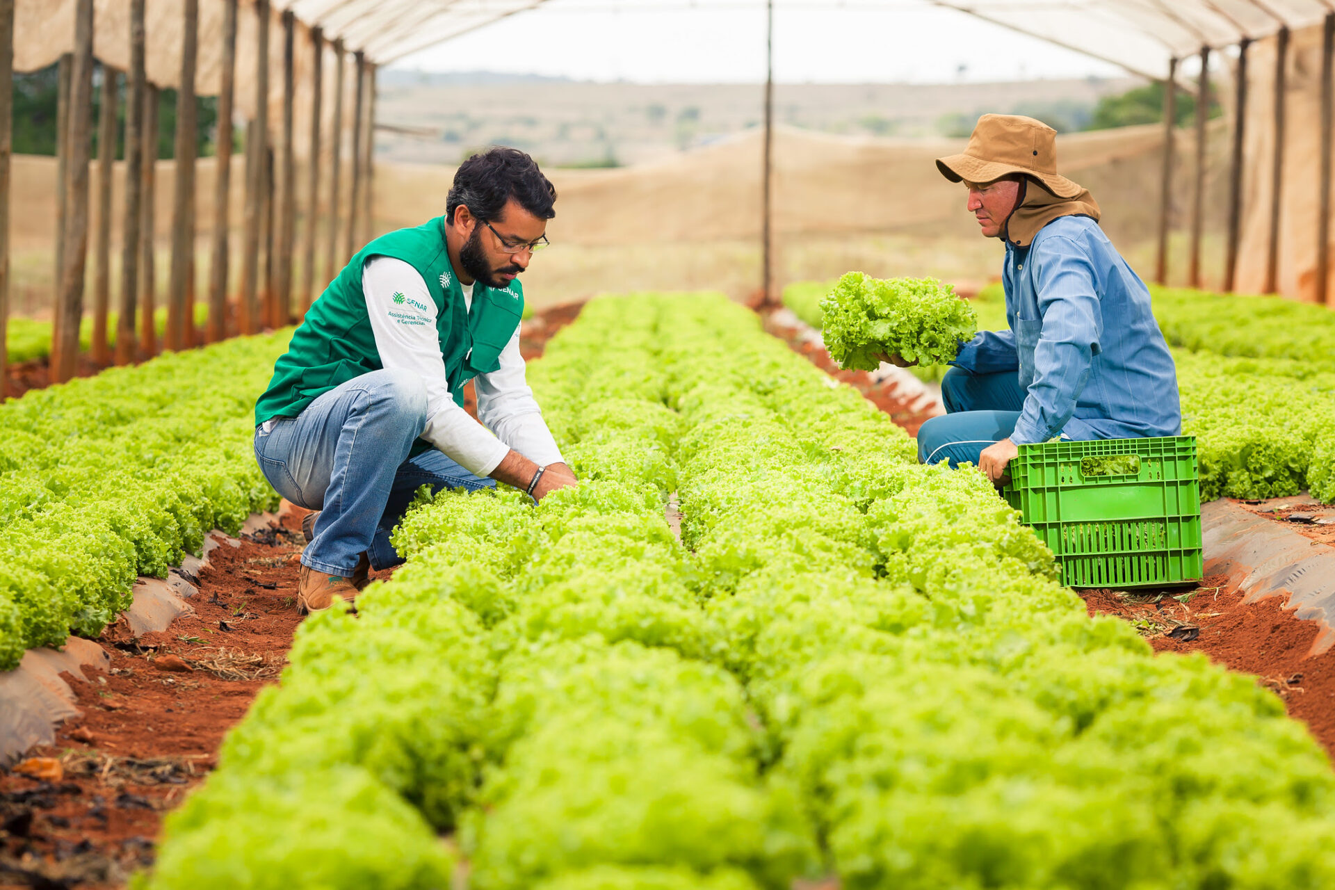 Uso De Bioinsumos Na Agricultura Um Dos Sucessos Da Parceria Entre A