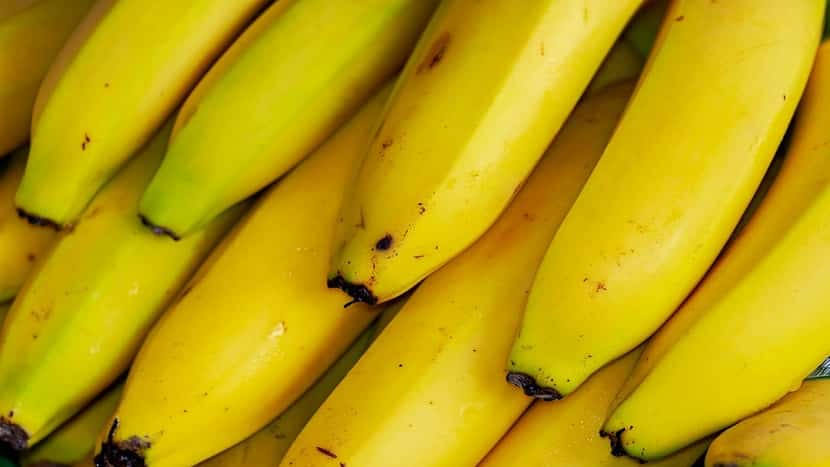 Bananas não eram comestíveis há 7 mil anos