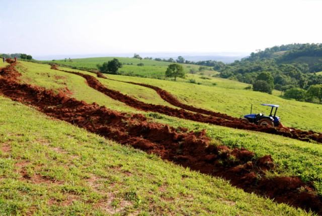 Mulheres administram mais de 30 milhões de hectares em propriedades rurais no Brasil