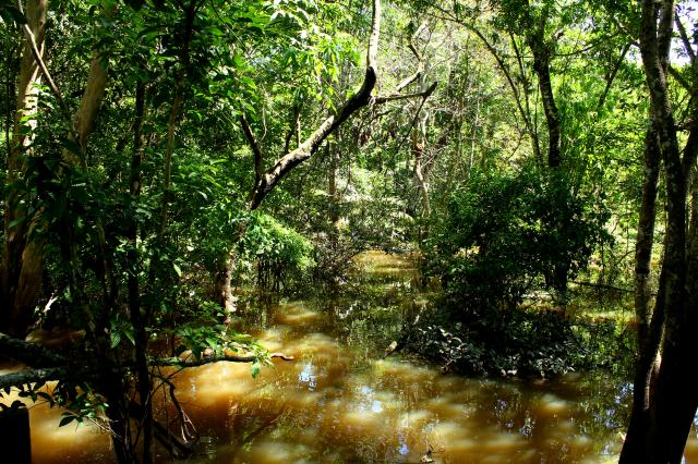 Código Florestal Brasileiro completa dez anos com semana de debates