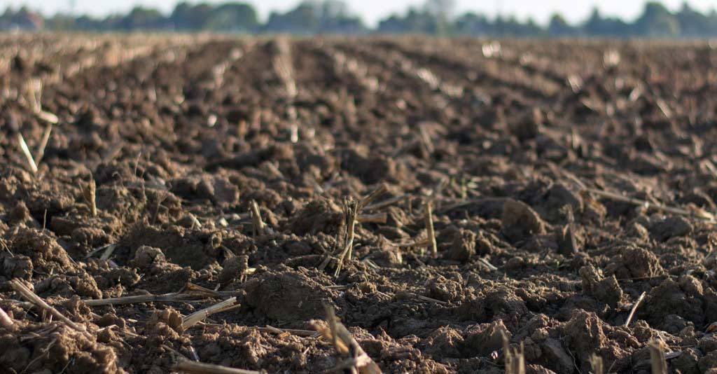 A importância de usar os métodos de análise de solo no manejo agrícola do potássio  