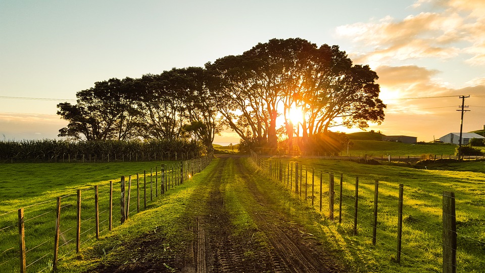 Acelerando o financiamento para uma agricultura sustentável no Brasil