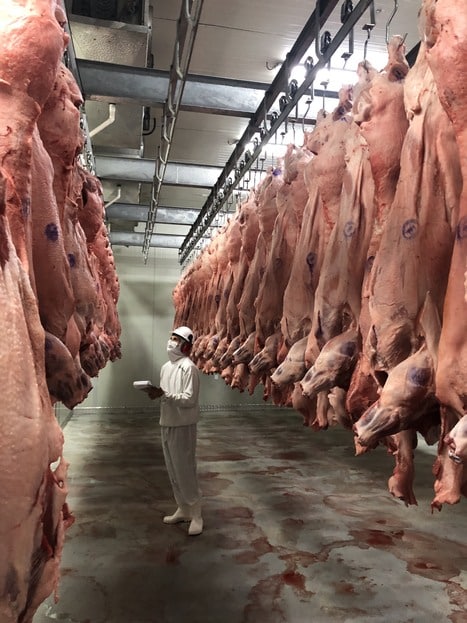 A carne possível: fazendeiro mostra como pecuária pode regenerar o Cerrado  - 18/03/2021 - UOL ECOA