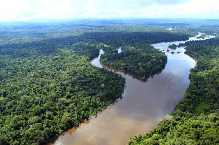 Caixa vai investir R$ 150 milhões na proteção da Floresta Amazônica