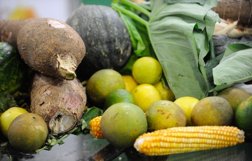 Produtos da agricultura familiar com bônus