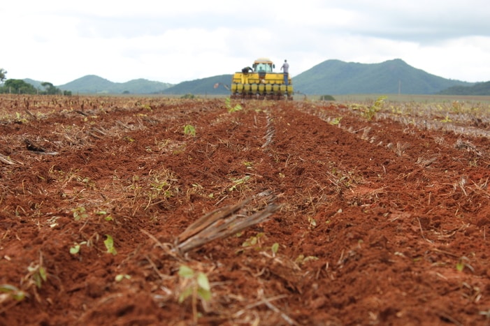 A resiliência da agricultura