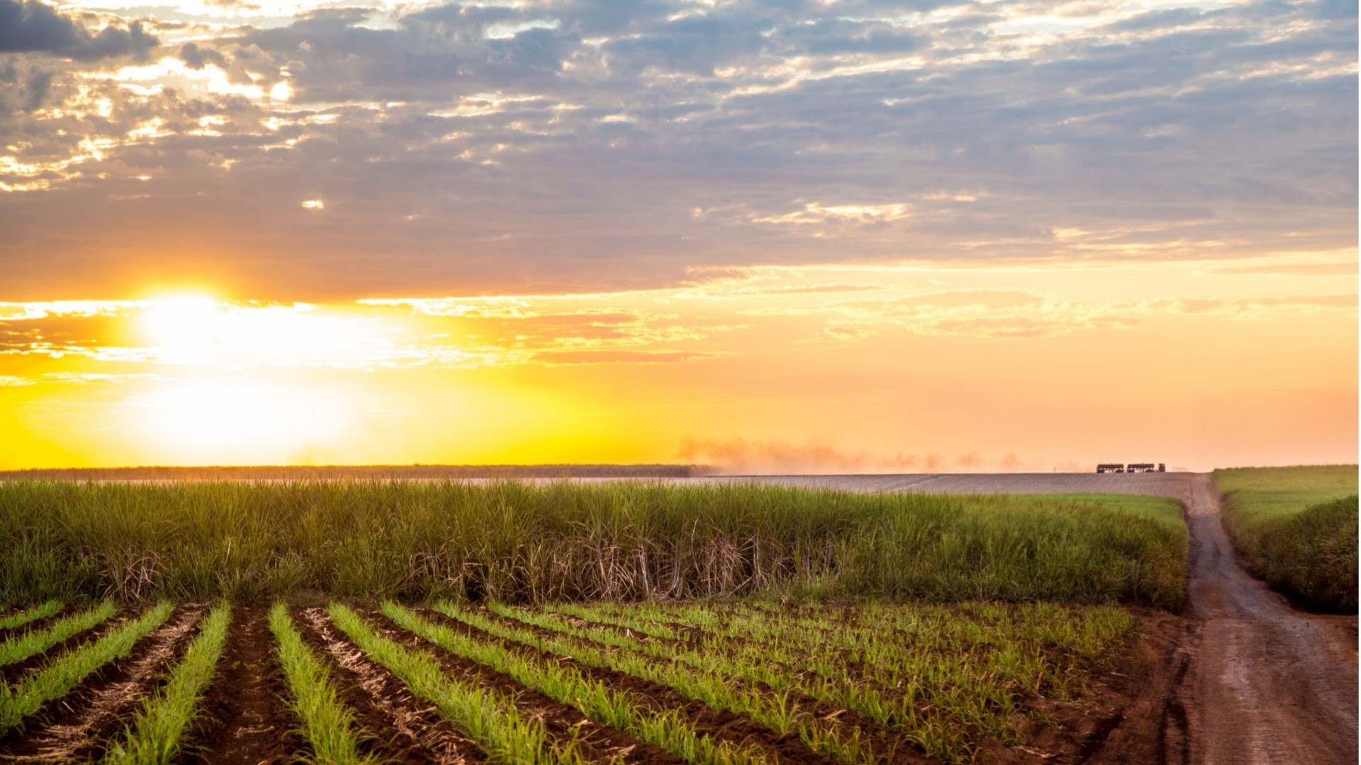 Tratamento de vinhaça proveniente da produção de etanol