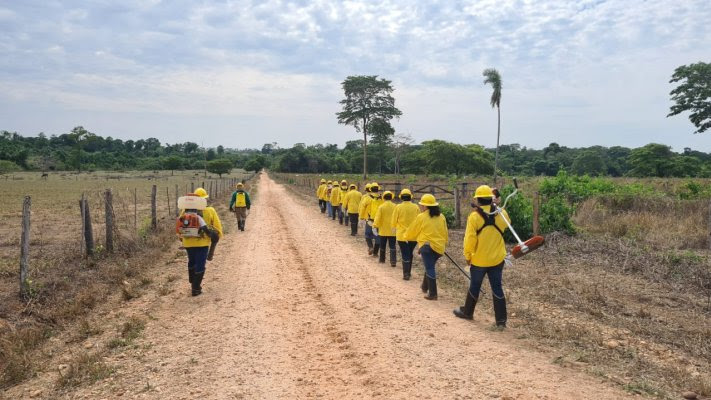 SENAR-MT disponibiliza novos treinamentos sobre formação de brigada de incêndio