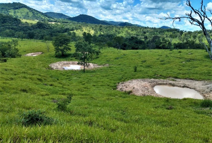 Trabalho de recuperação de nascentes beneficia comunidade rural