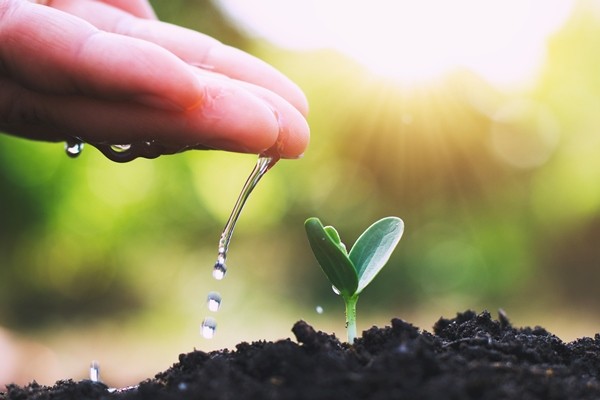 Os segredos da mulher no agro: Sustentabilidade ambiental