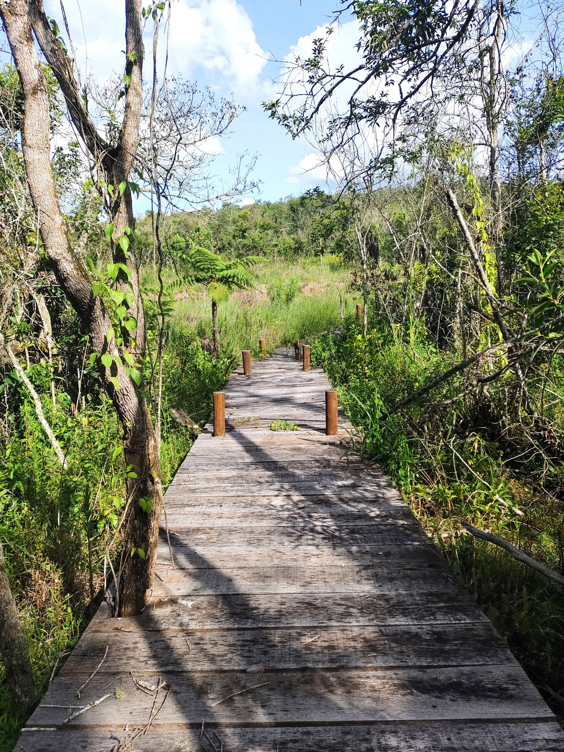 Núcleo Ambiental Água Santa do Cerrado (NASC)