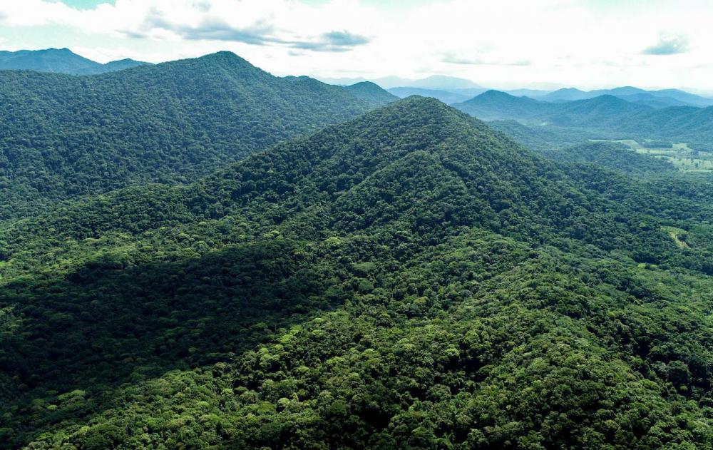 Parque Estadual Carlos Botelho ganha 1.197 hectares de áreas florestais