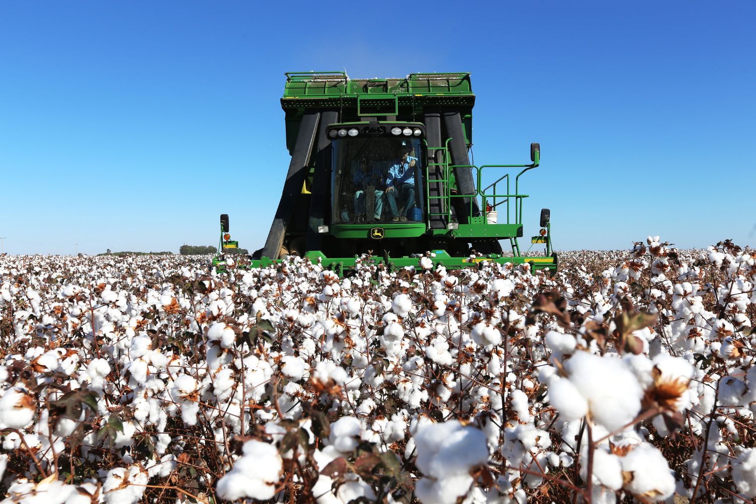 Programas de fidelidade chegam ao agro com força total 