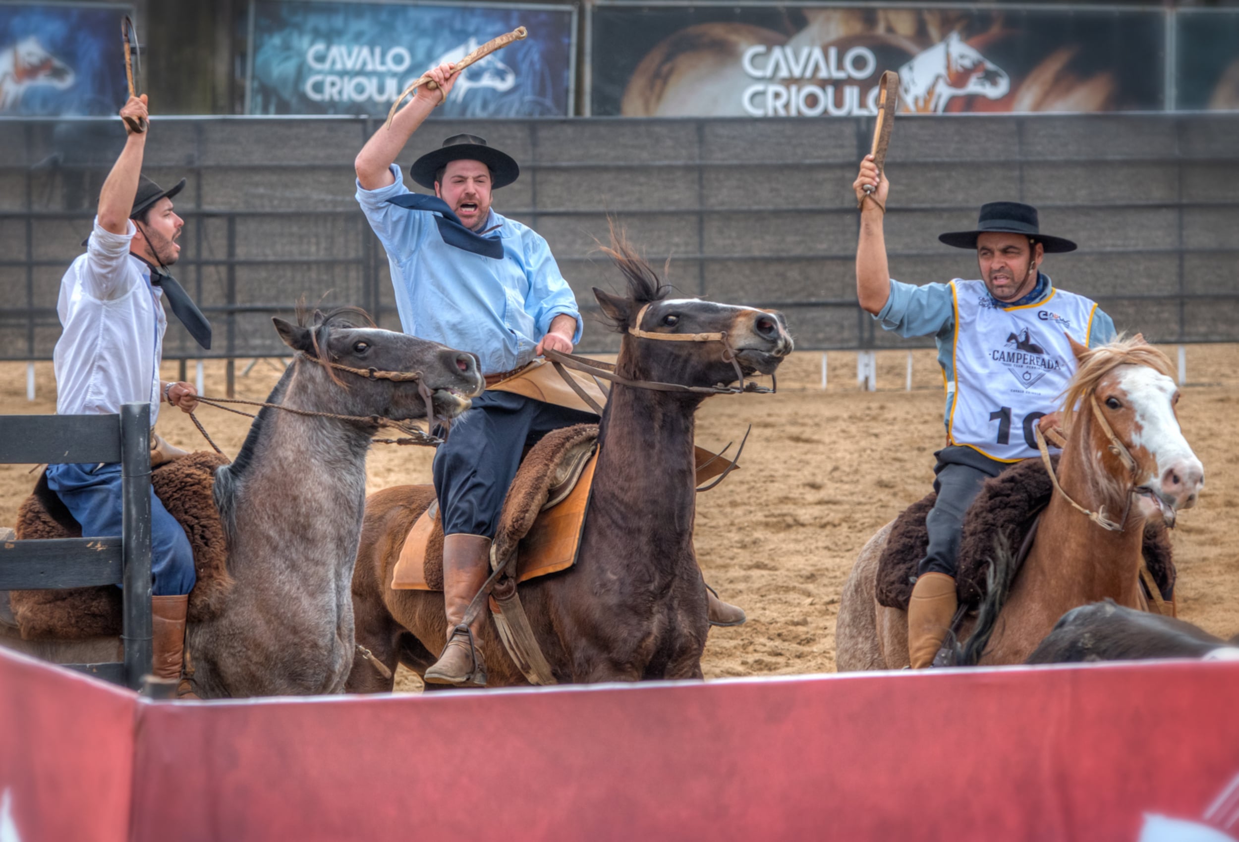 Trio é detido após matar cavalo para comer em São Francisco do Sul