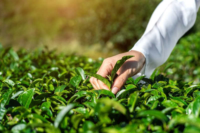 Inscrições para o 2º Desafio do Instituto AgroGalaxy encerram nesta segunda-feira