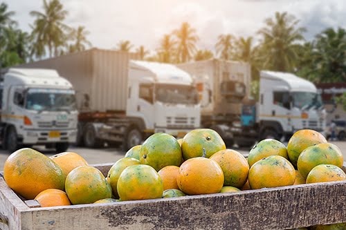 Exportações de frutas frescas promete fechar bem 2022, mas não supera marca alcançada em 2021