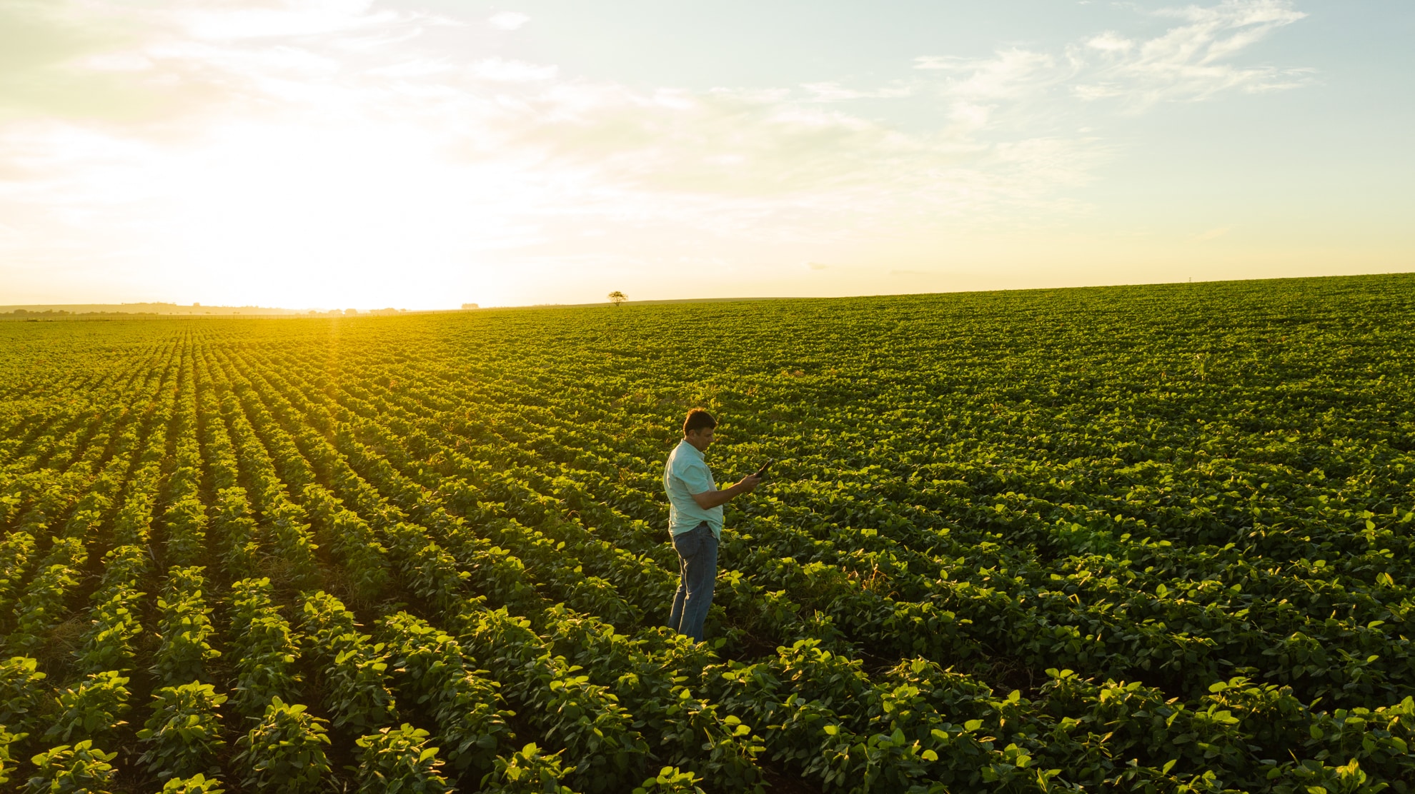 ConectarAGRO contabiliza 12 milhões de hectares