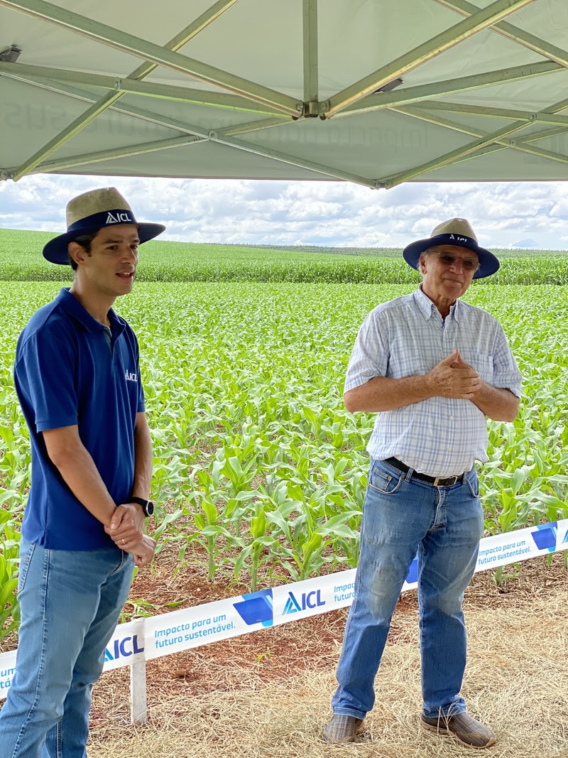 Produtor de SP atinge o dobro da média nacional de produtividade de milho e alcança 190 sacas hectare