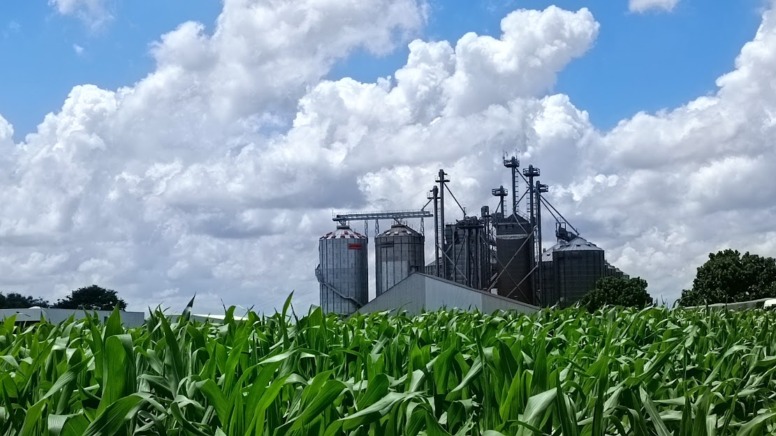 Empresa lança guia gratuito direcionado ao produtor rural para uma boa armazenagem de grãos