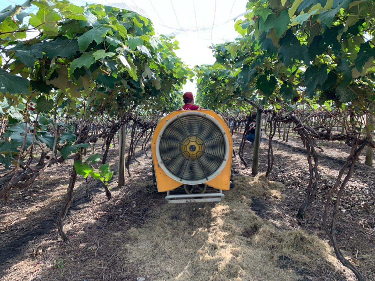 Workshop sobre tecnologia de aplicação de agroquímicos reúne produtores de uva de Jundiaí e região, no dia 8