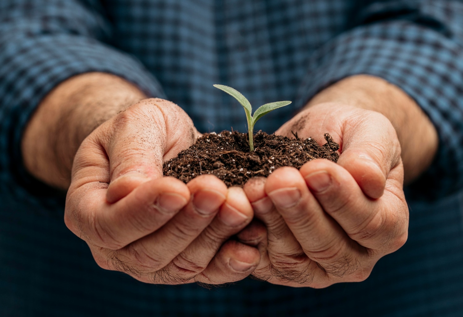 Para aumentar o número de investidores nas startups de Agro, Arara Seed fecha com a Ativa Investimentos