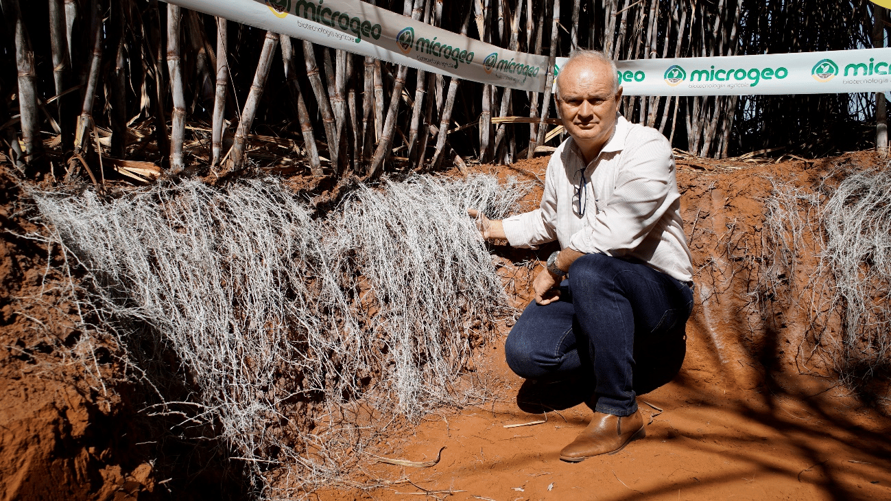 Vencedor nacional do Desafio Microbioma Brasil 2022 apresentou inovação no manejo biológico em cana-de-açúcar