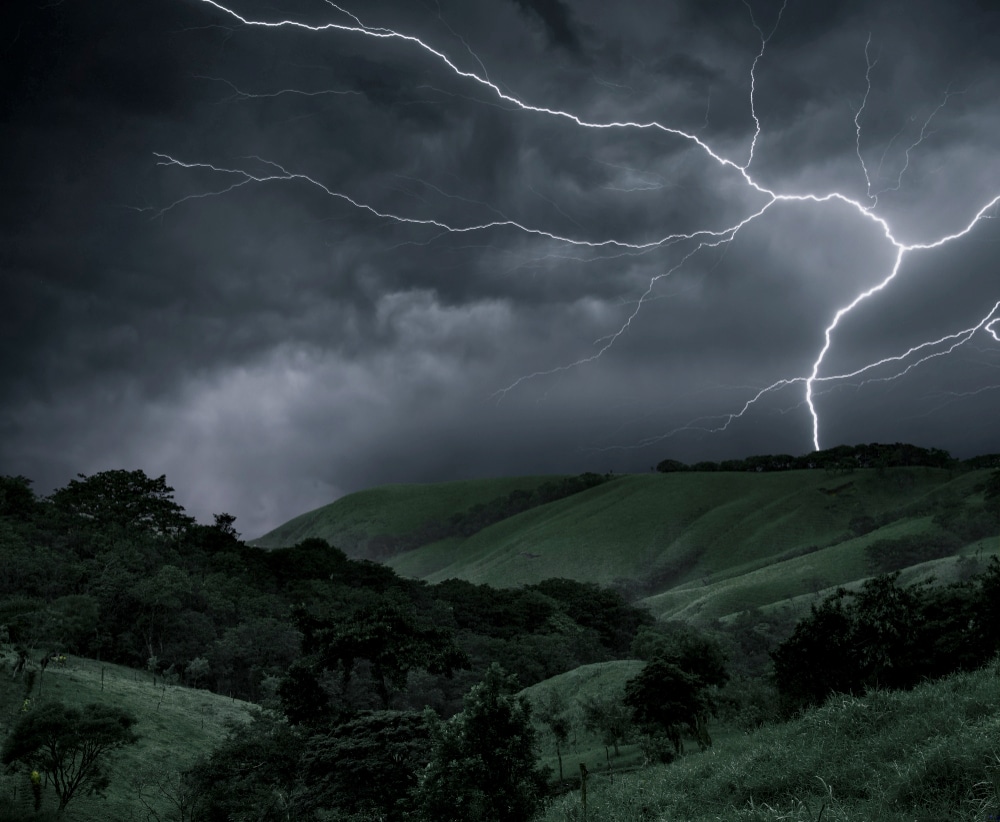 Chuvas irregulares: como minimizar os impactos do clima na produção?