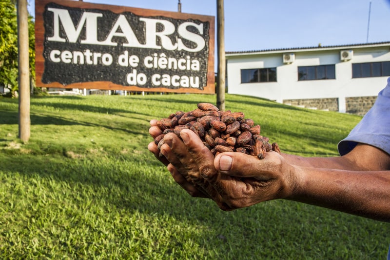 Mars comemora e apresenta os resultados da iniciativa Cacau para Gerações