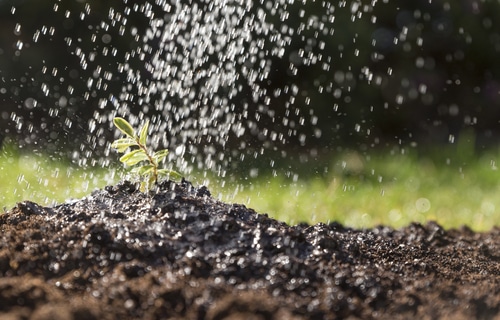 Excesso de chuva influencia agricultura e geração de energia