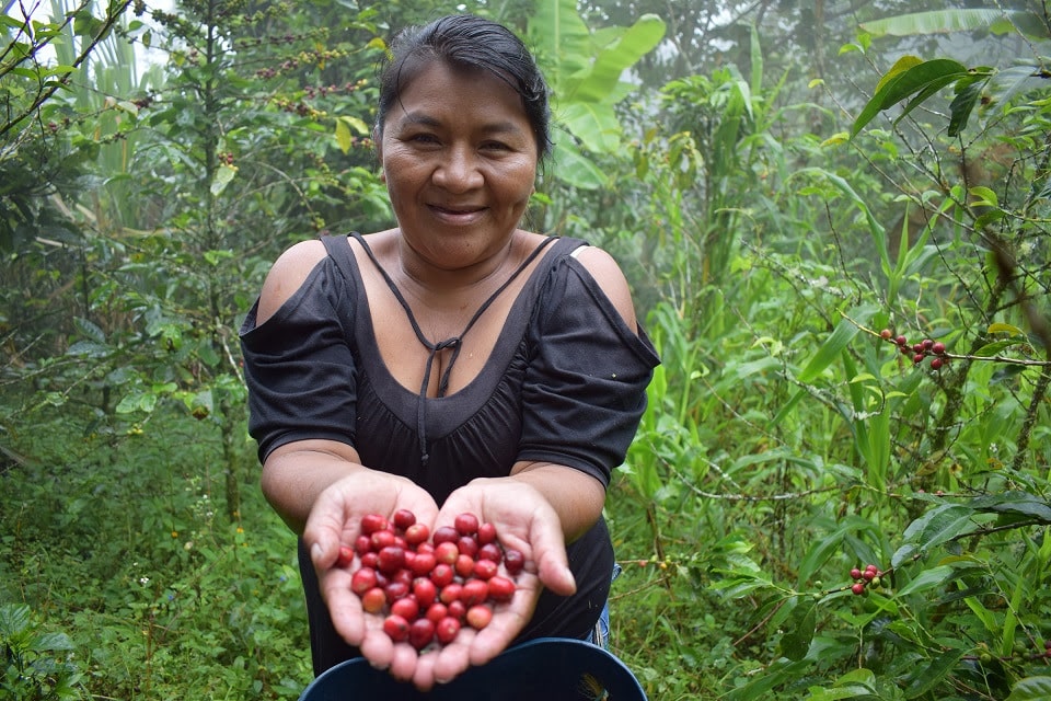 FAO realiza o Encontro Latino-Americano e Caribenho da Década das Nações Unidas para a Agricultura Familiar