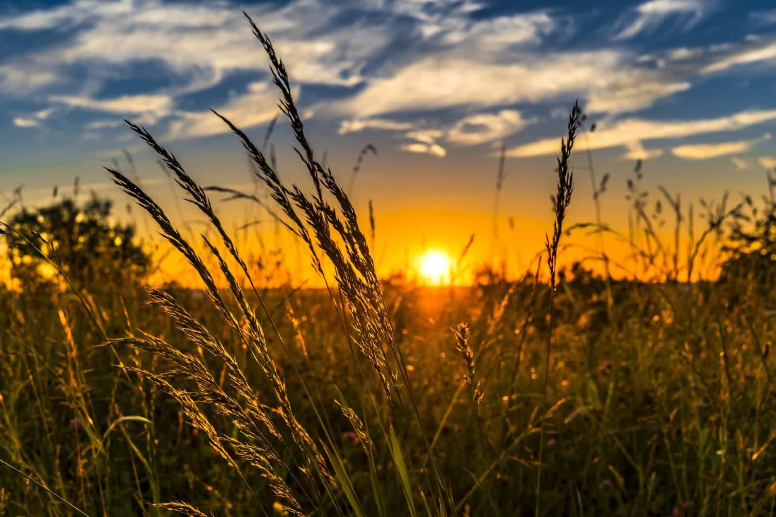 Quais os benefícios da terceirização de frota no agronegócio?