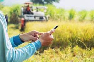 Software é o segredo da eficiência de produtor na gestão agrícola