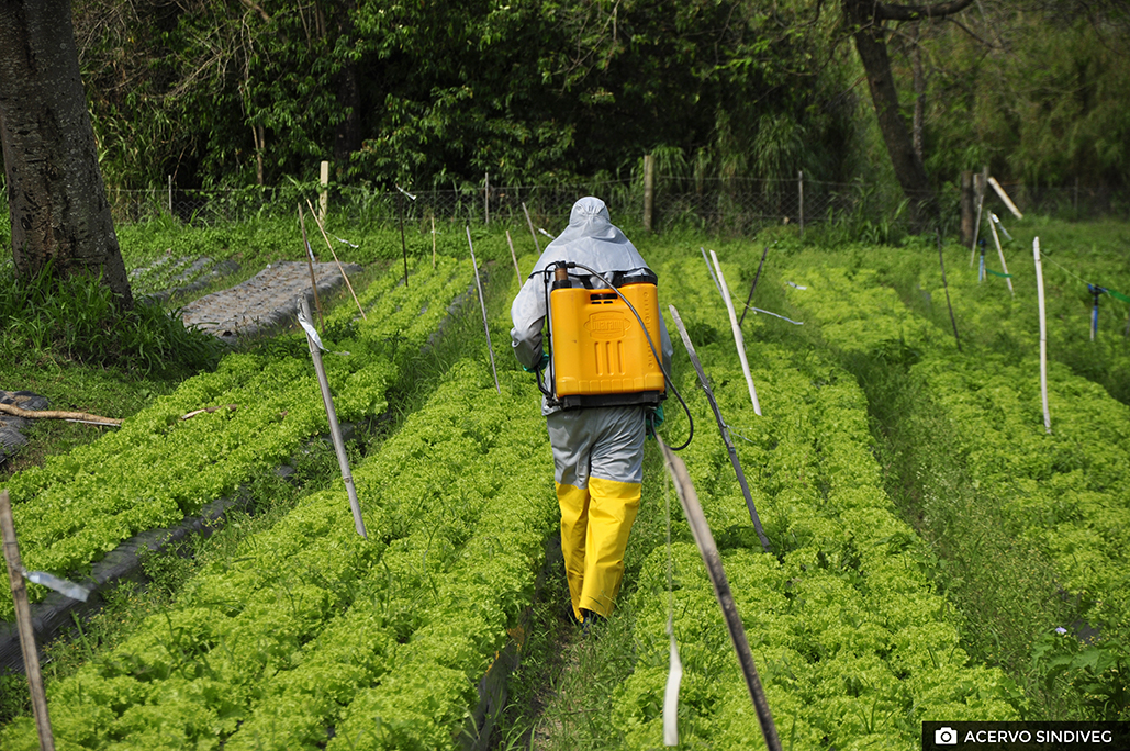 Sindiveg lança módulo sobre defensivos agrícolas ilegais em plataforma de treinamentos on-line e gratuita