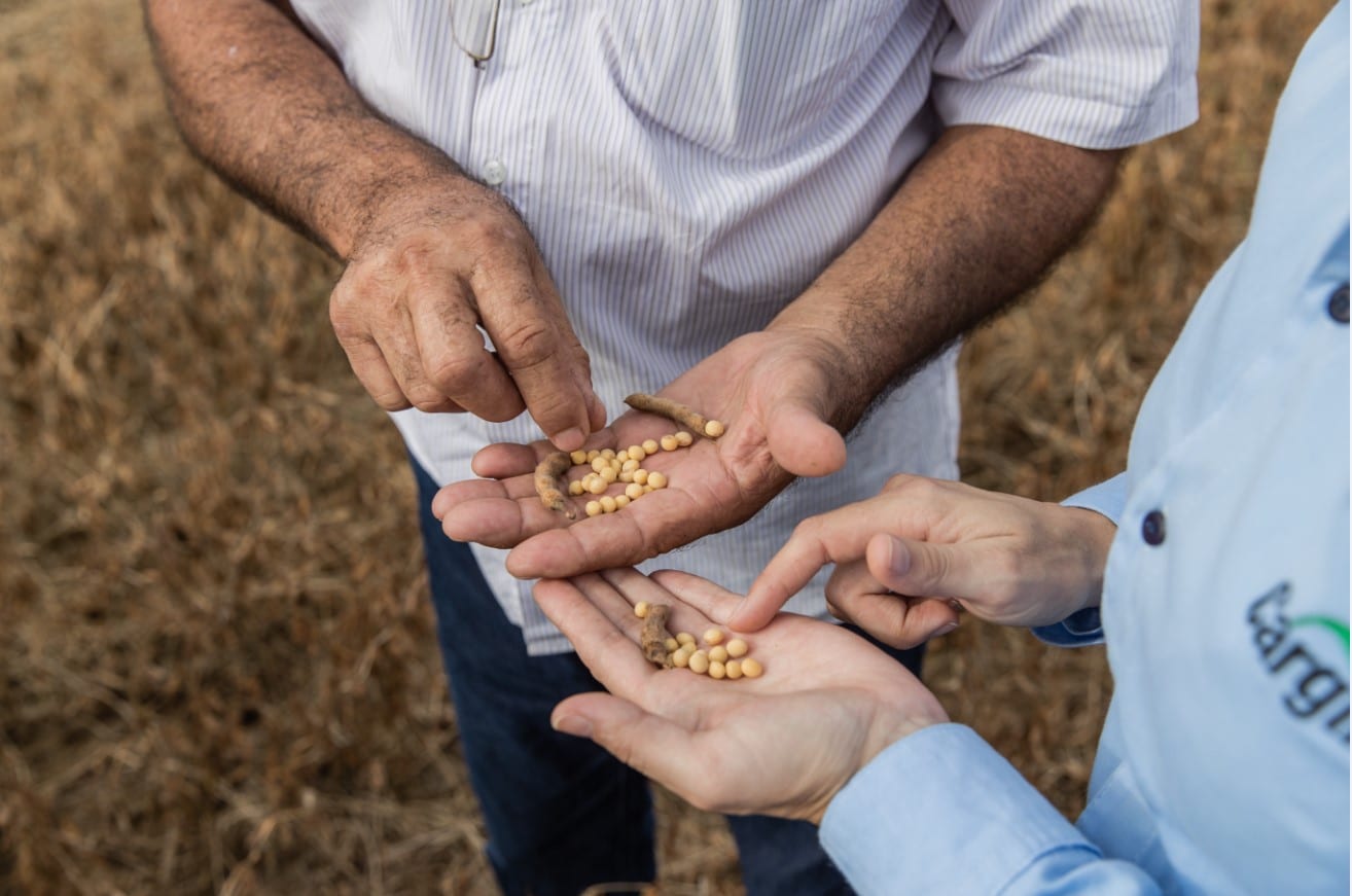 Programa 3S da Cargill conquista equivalência ao nível Prata da norma FSA/SAI