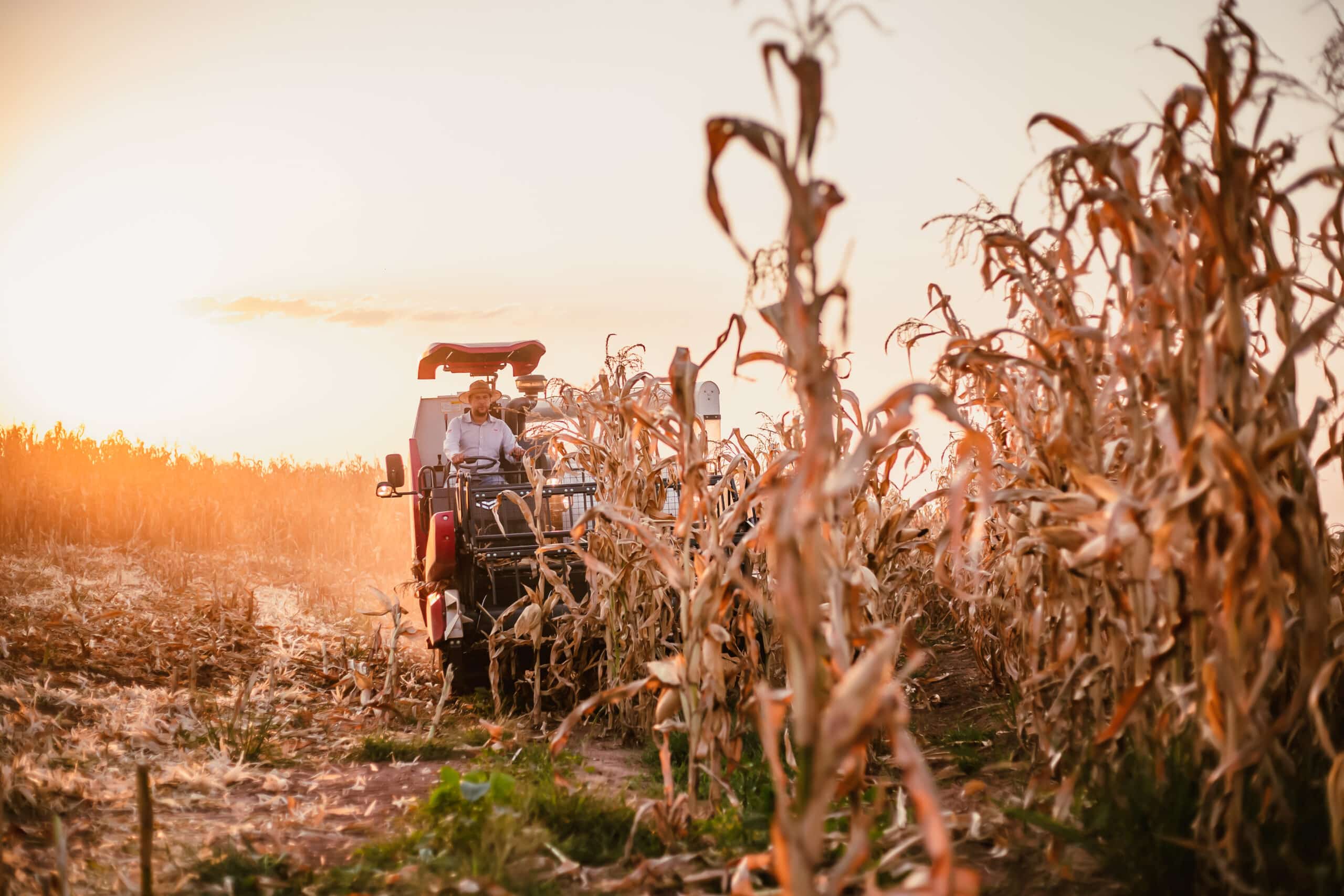 YANMAR atinge 70% de crescimento nas vendas de equipamentos agrícolas em 2022