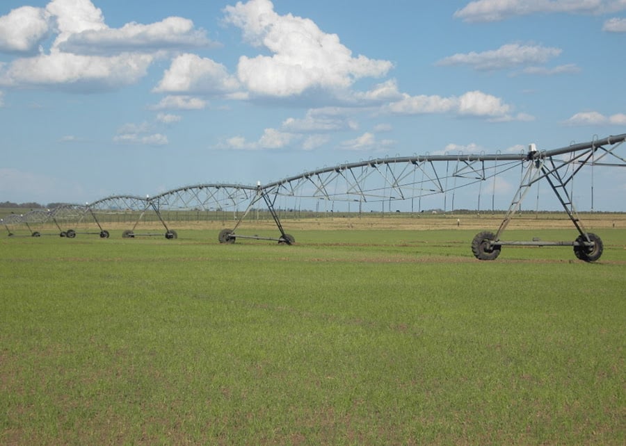 Ciência desenvolve práticas que mitigam a emissão de gases de efeito estufa no cultivo de arroz irrigado