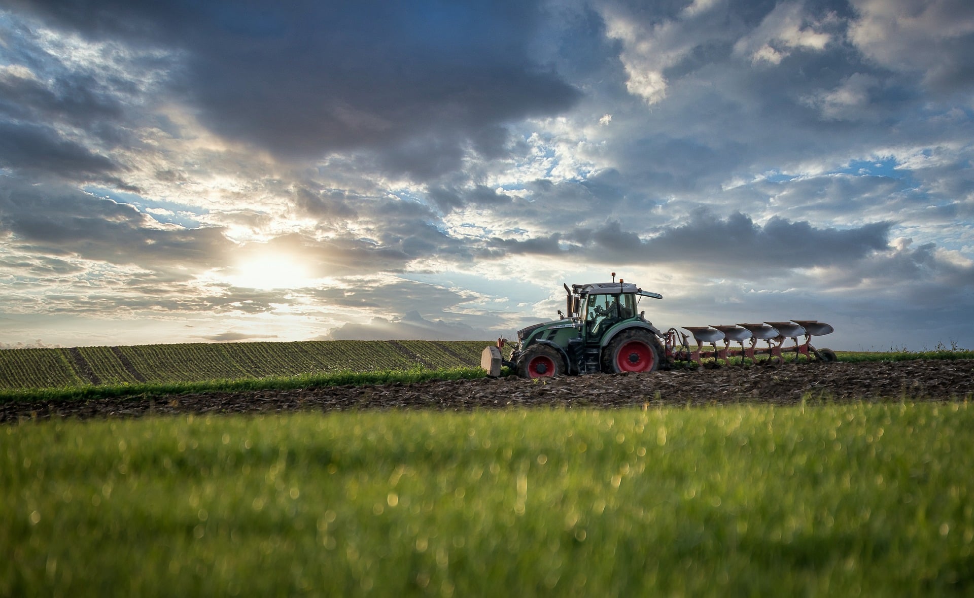 Agtech Summit 2023: Vertical da ACATE debate tecnologias voltadas ao agronegócio