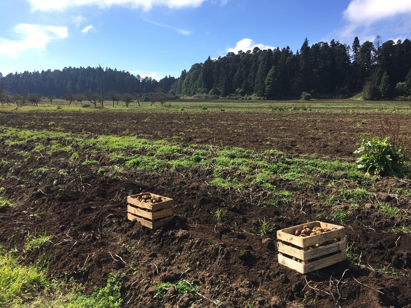 TMF Fertilizantes lança nova linha TMF NUTBIO visando maior capacidade produtiva dos solos