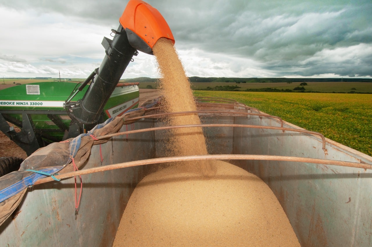 Em quinta alta seguida, VBP da agropecuária goiana alcança recorde em 2022