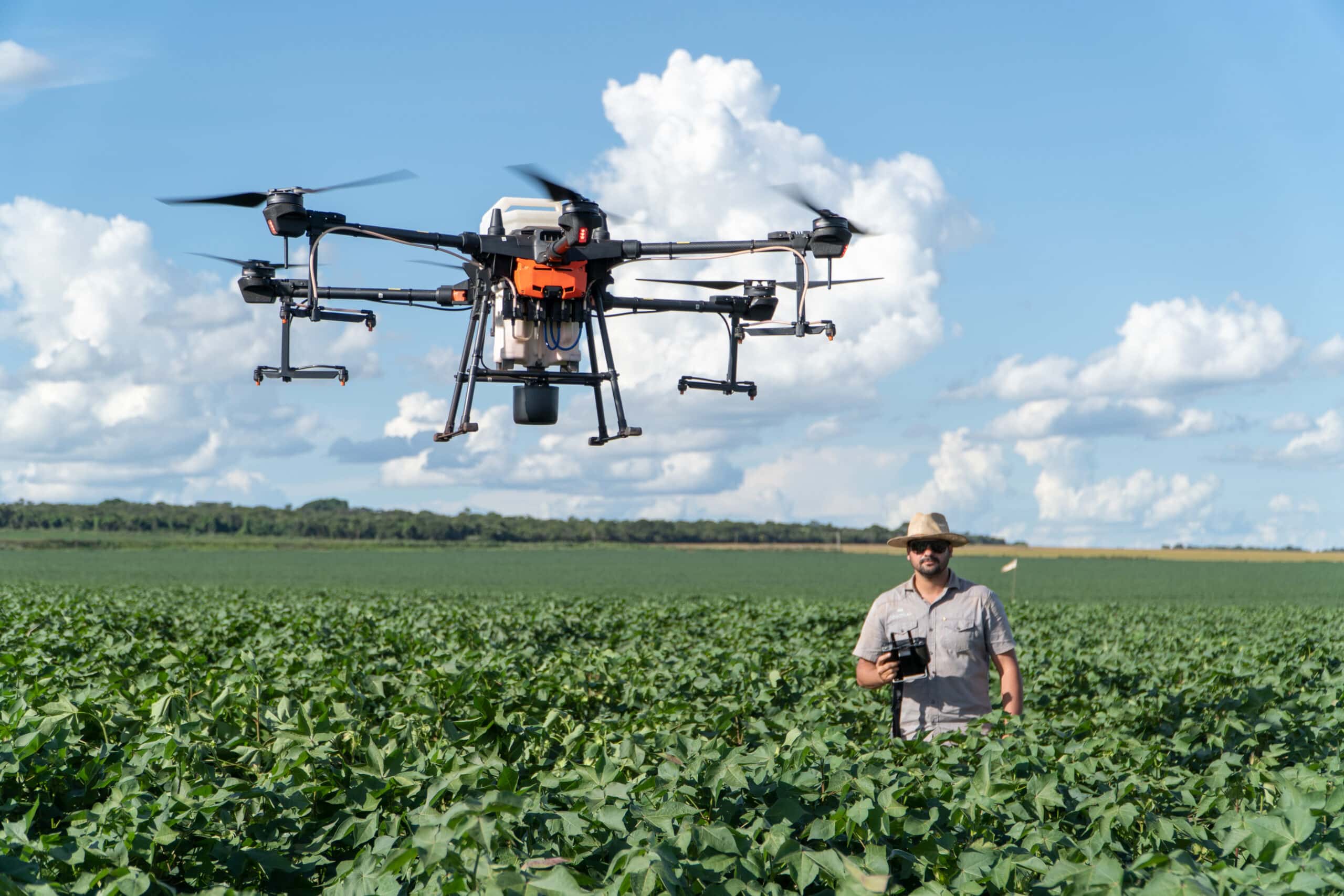 Produtores de algodão apostam na gestão da pulverização por drones para produzir mais em 2023