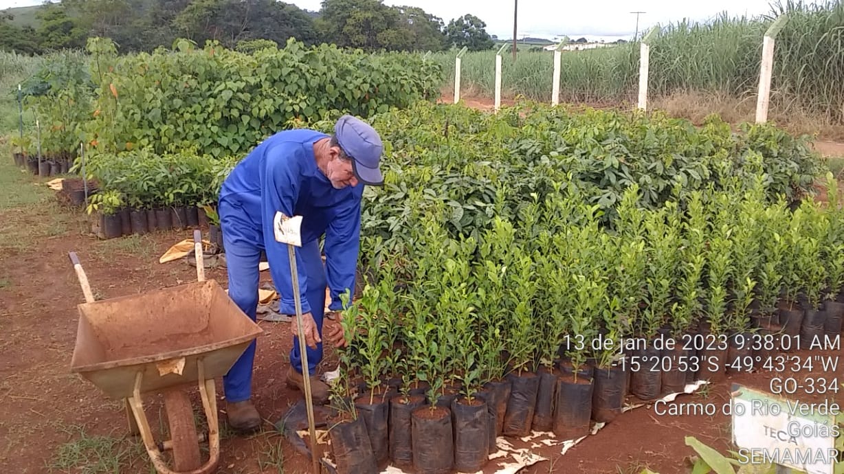 CRV Industrial faz a doação de mudas para pomar