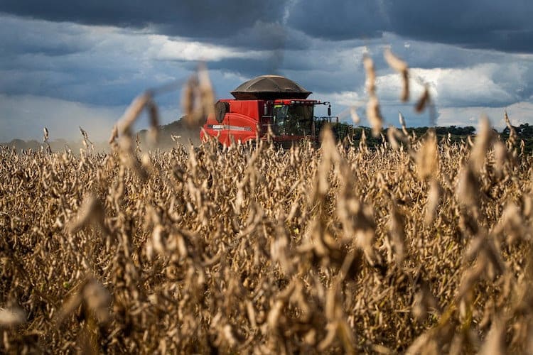 Exportações do agronegócio brasileiro disparam com novo recorde em 2022