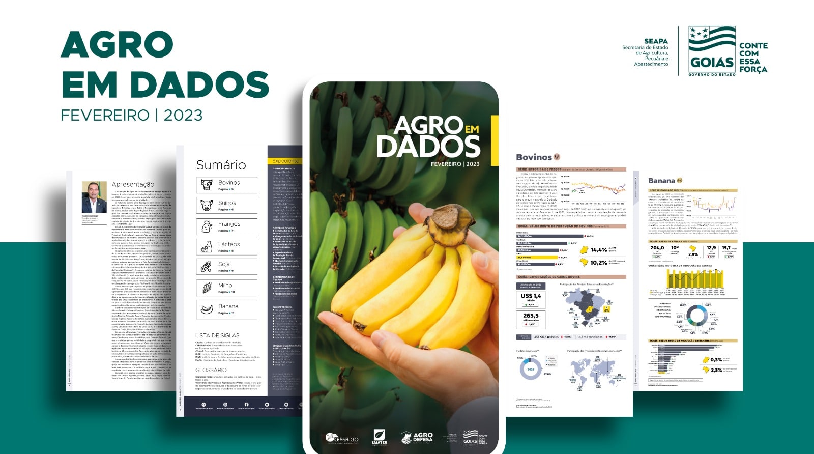 Agro em Dados: safra goiana de banana tem previsão de crescimento de 2% em 2023