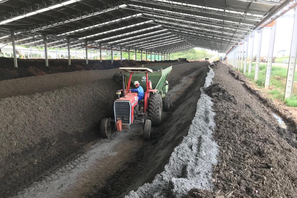 Micro-organismos deverão potencializar  eficácia dos fertilizantes agrícolas da Tera