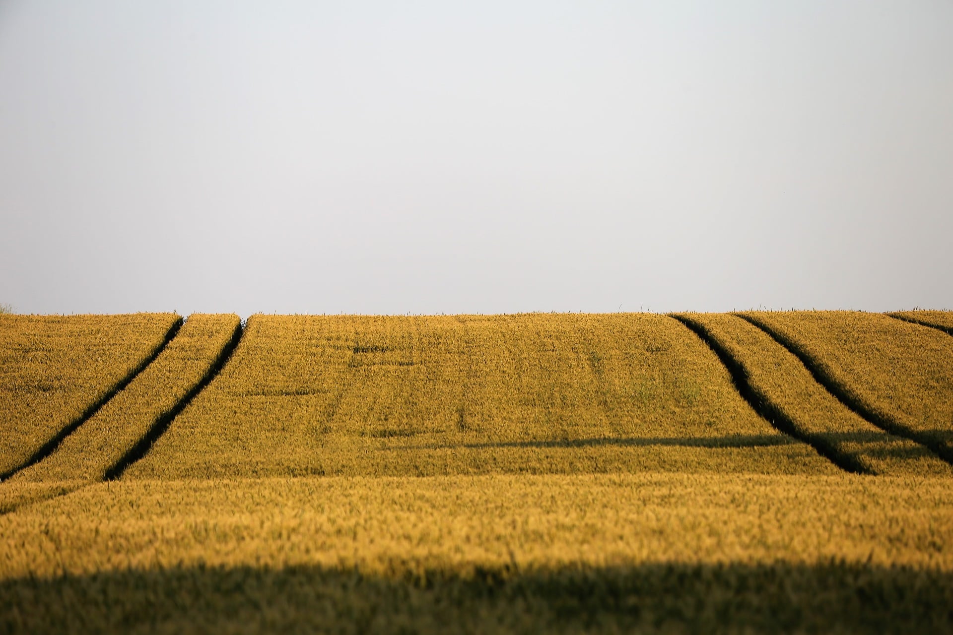 Visibilidade da cadeia de suprimentos pode mudar cenário do agronegócio no Brasil