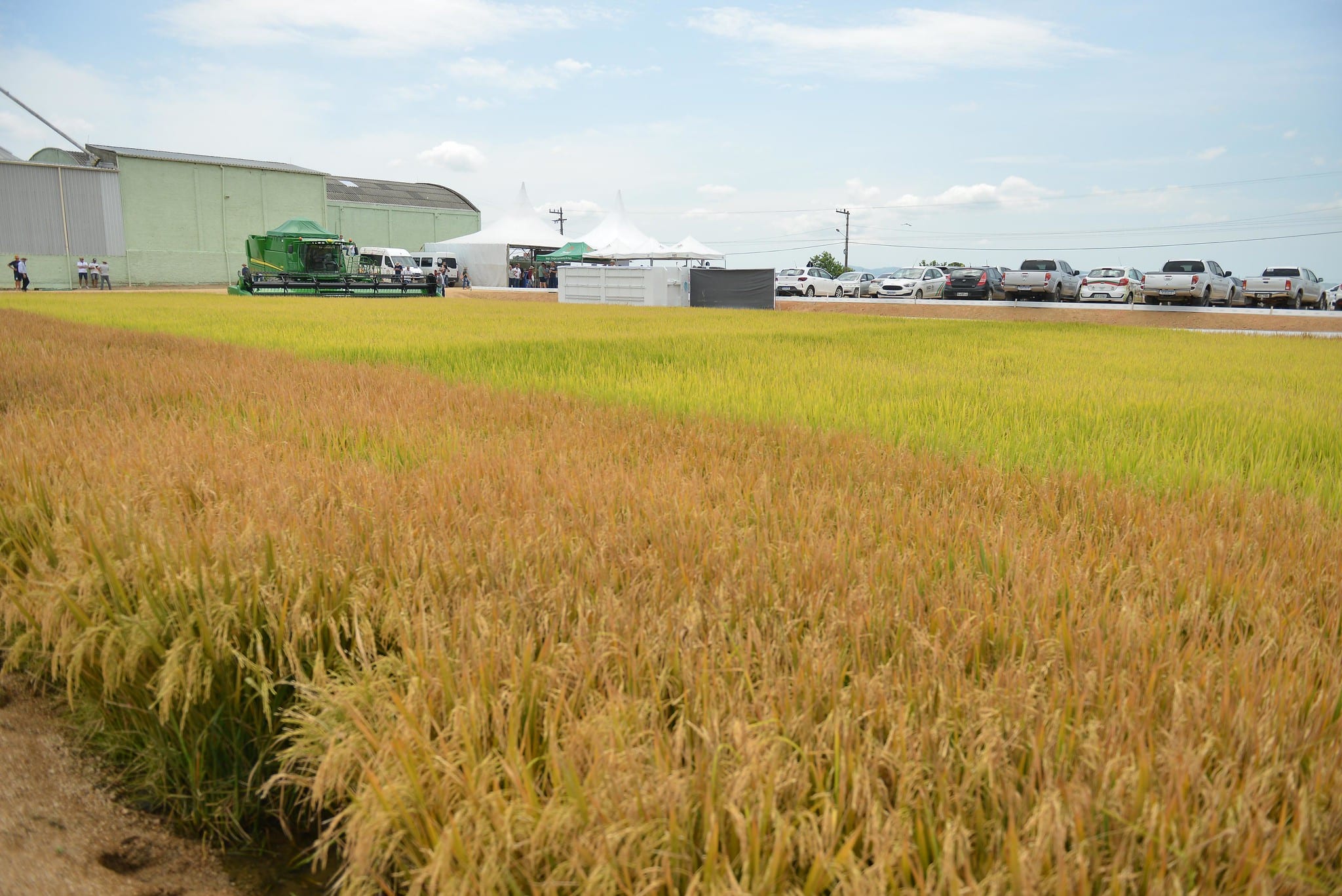 Faesc participa da abertura da colheita do arroz em Santa Catarina