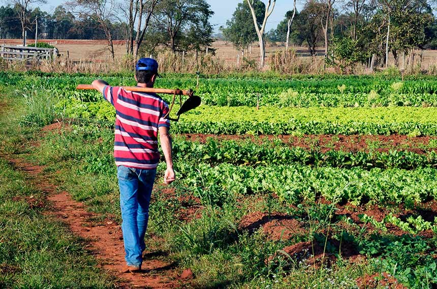 Produtores rurais ganham mais prazo para emitir o cadastro da agricultura familiar