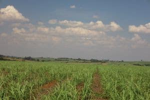 Agronegócio é um celeiro de oportunidades para a aviação