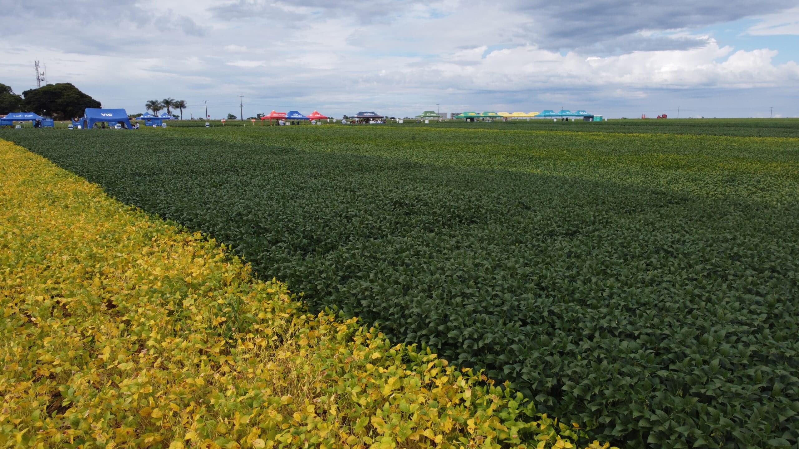 Agronegócio supera adversidades em 2022 e vai buscar crescimento para 2023.