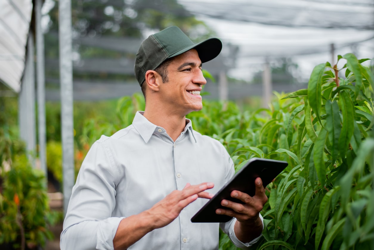 Dicas úteis para melhorar a gestão no agronegócio